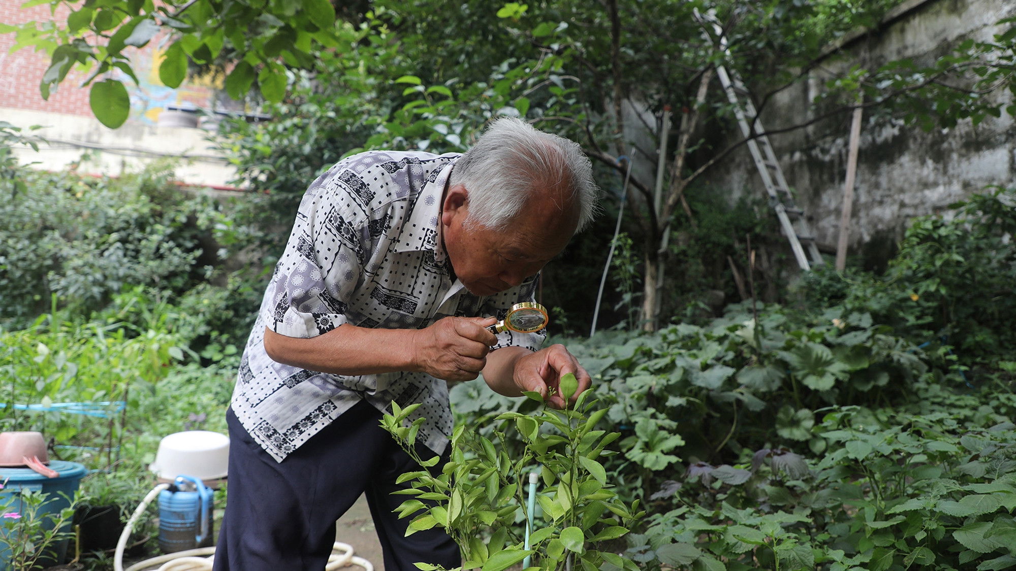 Backdrop for The 2nd Repatriation
