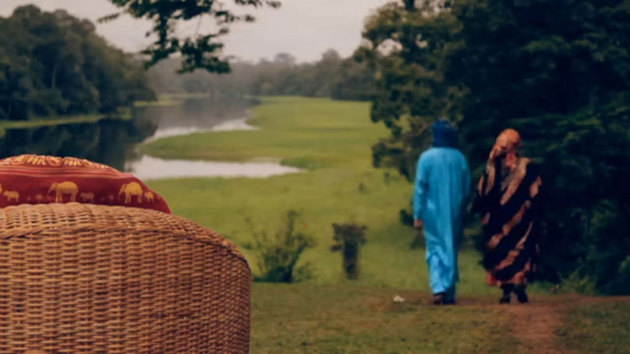 Backdrop for The President