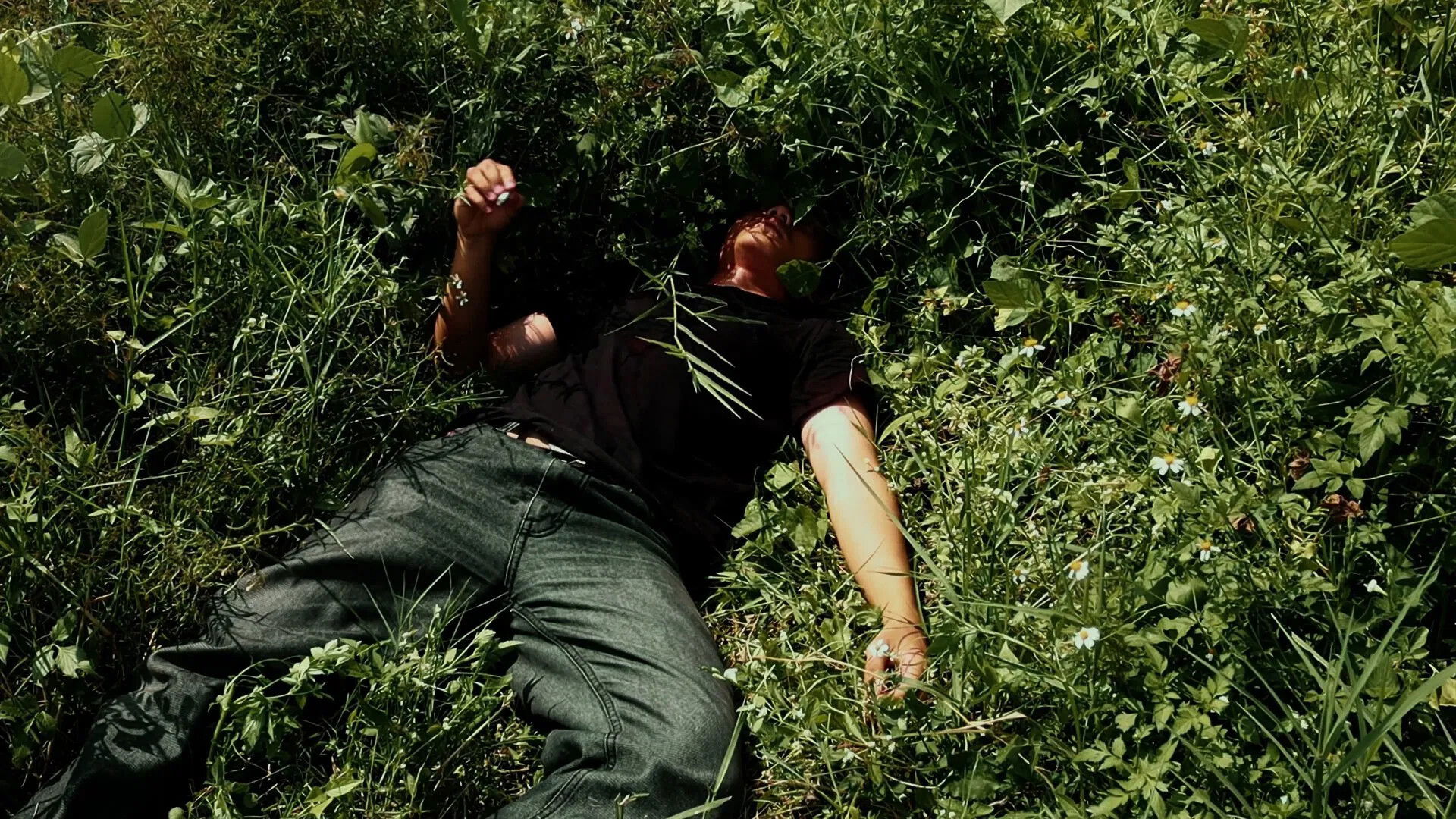 Backdrop for Rizal and Mosquitoes