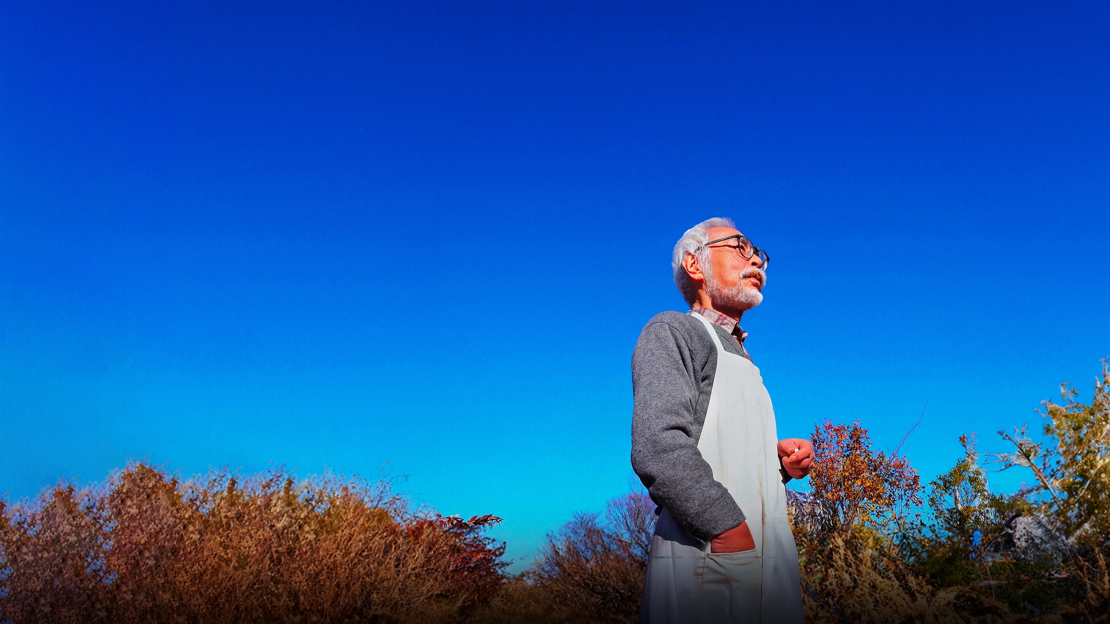 Backdrop for Hayao Miyazaki and the Heron