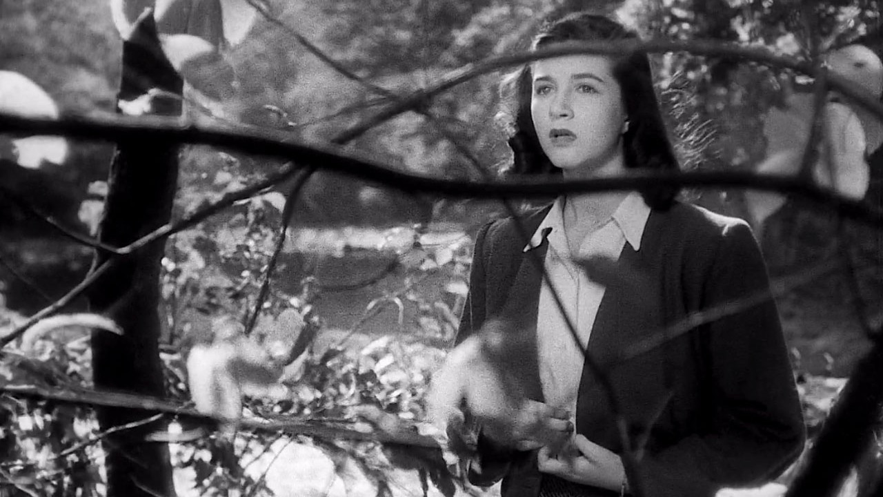 Backdrop for Presentiment