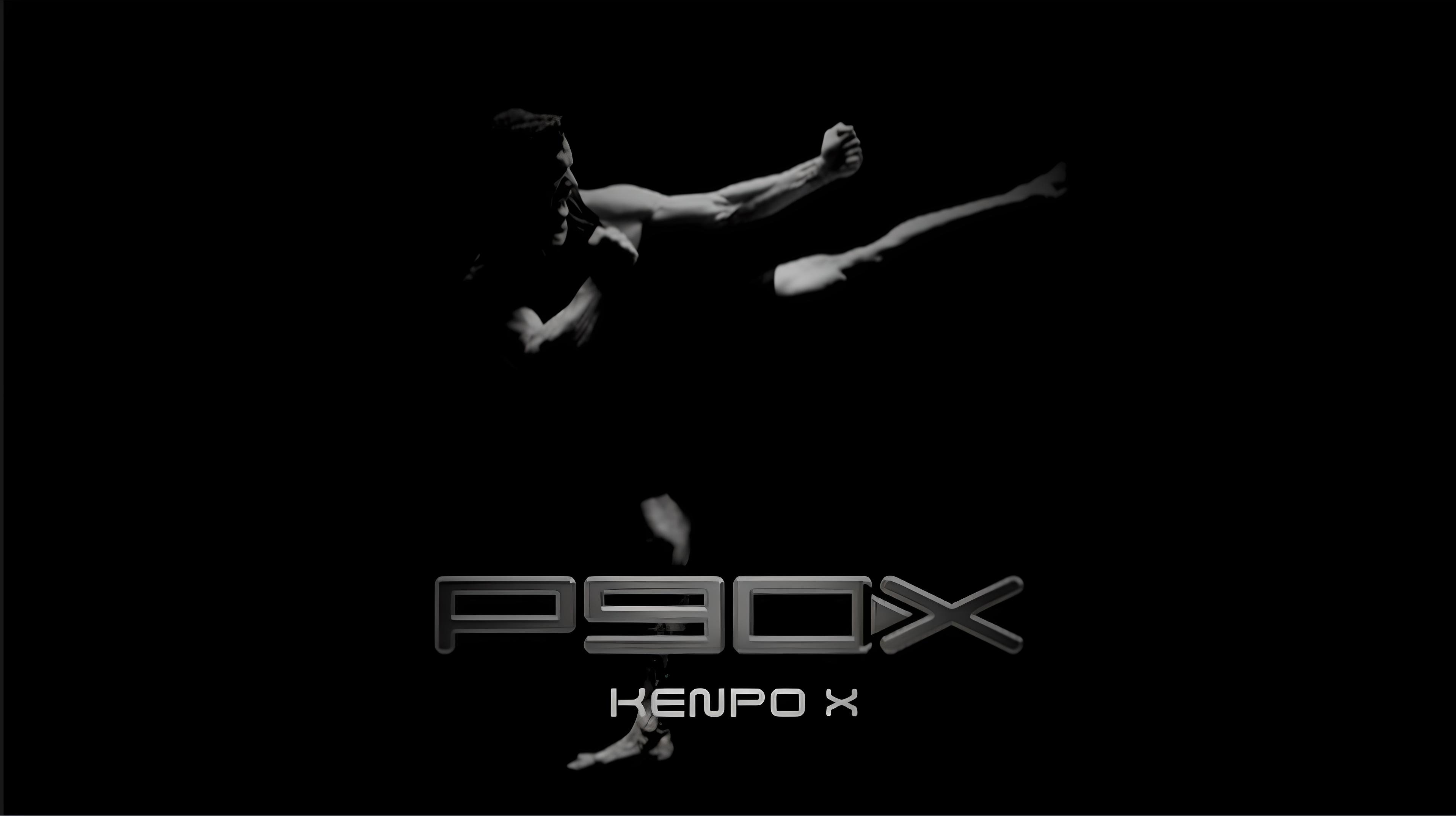 Backdrop for P90X - Kenpo X