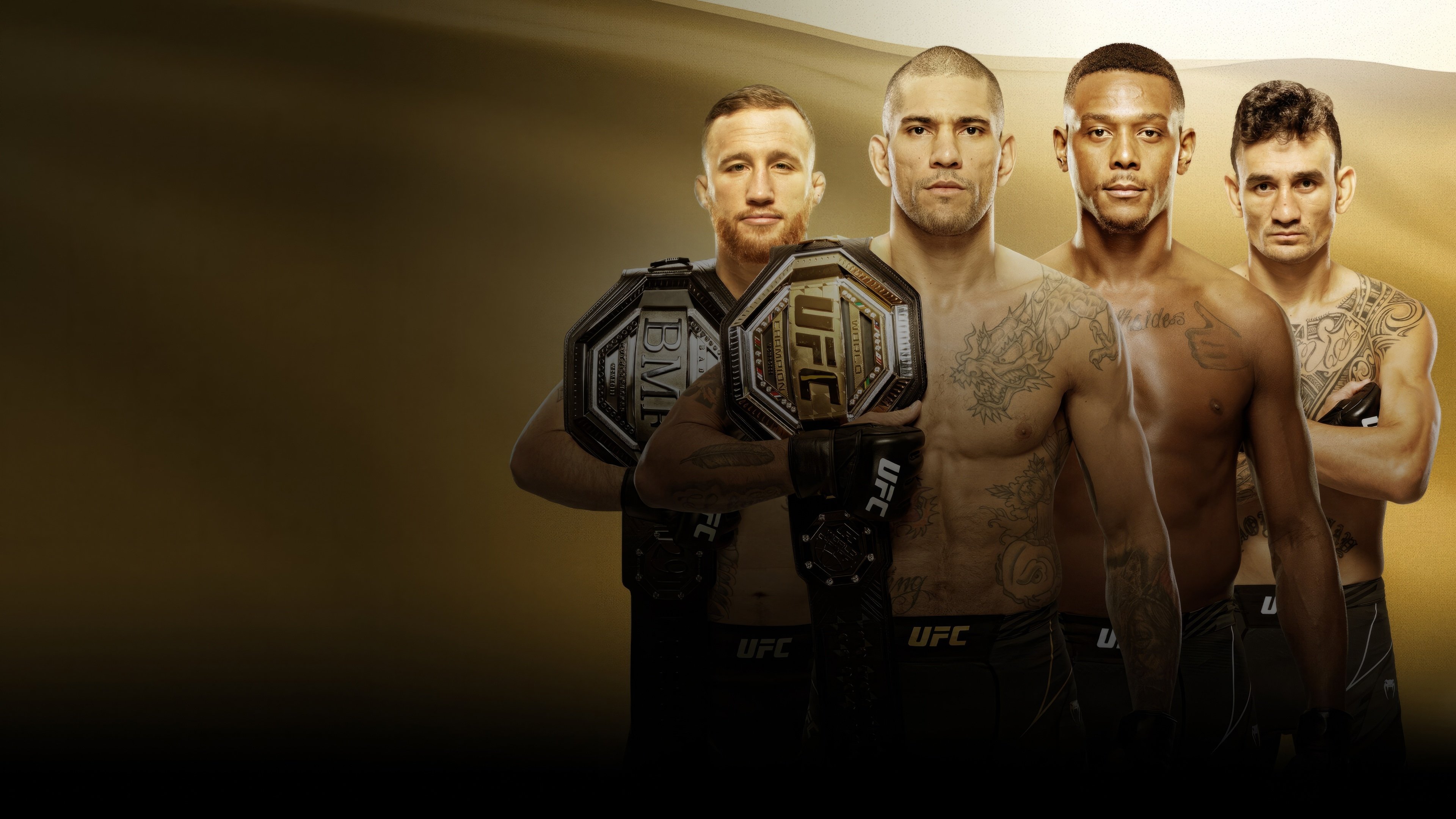 Backdrop for UFC 300: Pereira vs. Hill