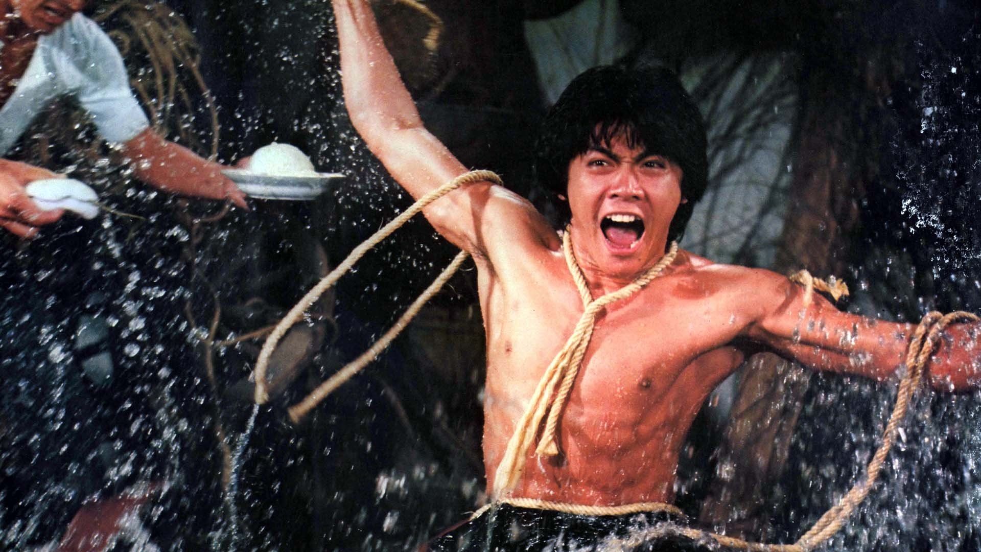 Backdrop for Kung Fu Zombie