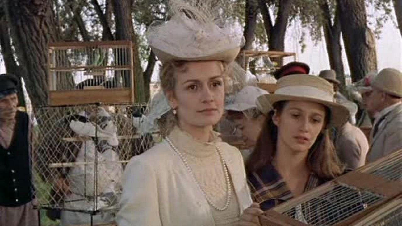 Backdrop for Secrets Shared with a Stranger