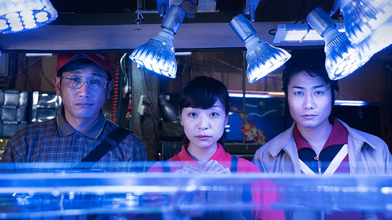 Backdrop for Between Men and the Gods