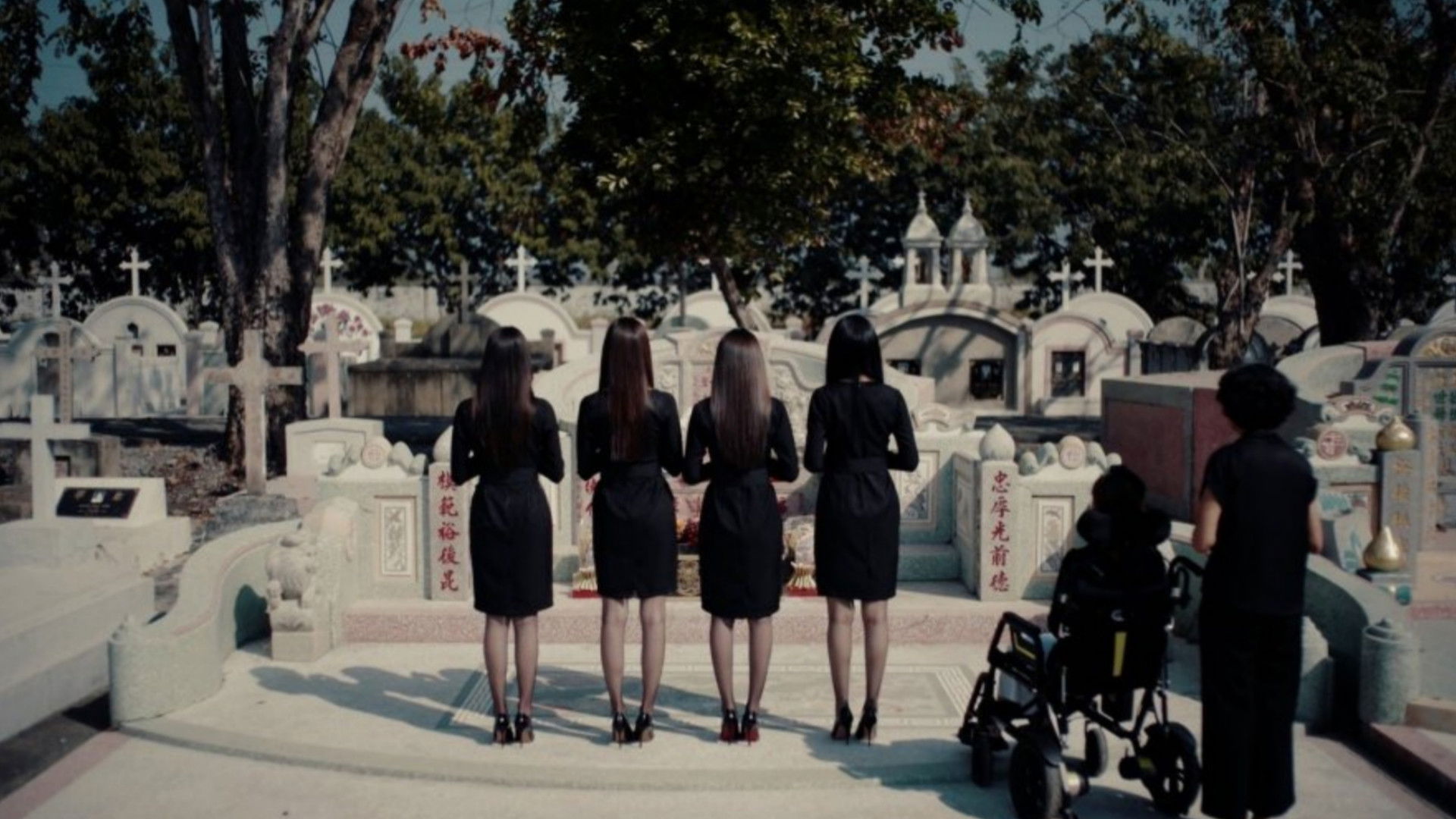 Backdrop for Hide & Sis