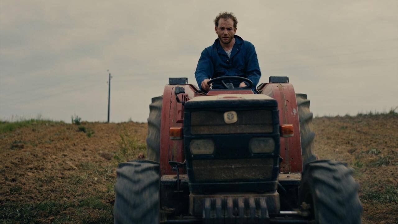 Backdrop for What's Wrong with My Family?