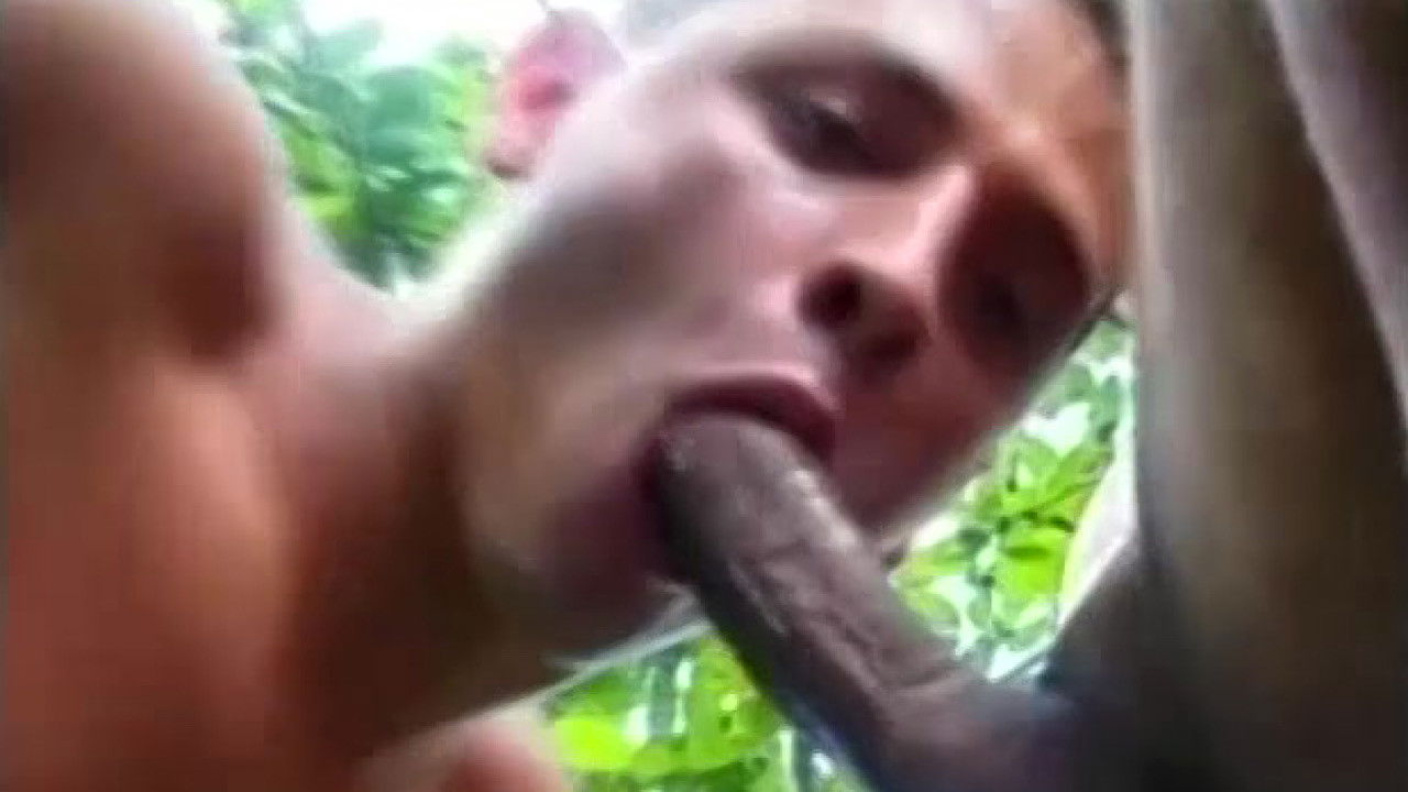 Backdrop for Tail Gators