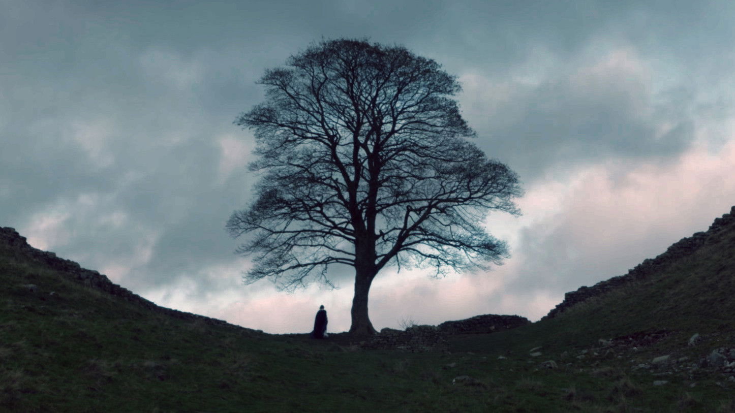 Backdrop for The Sycamore Gap