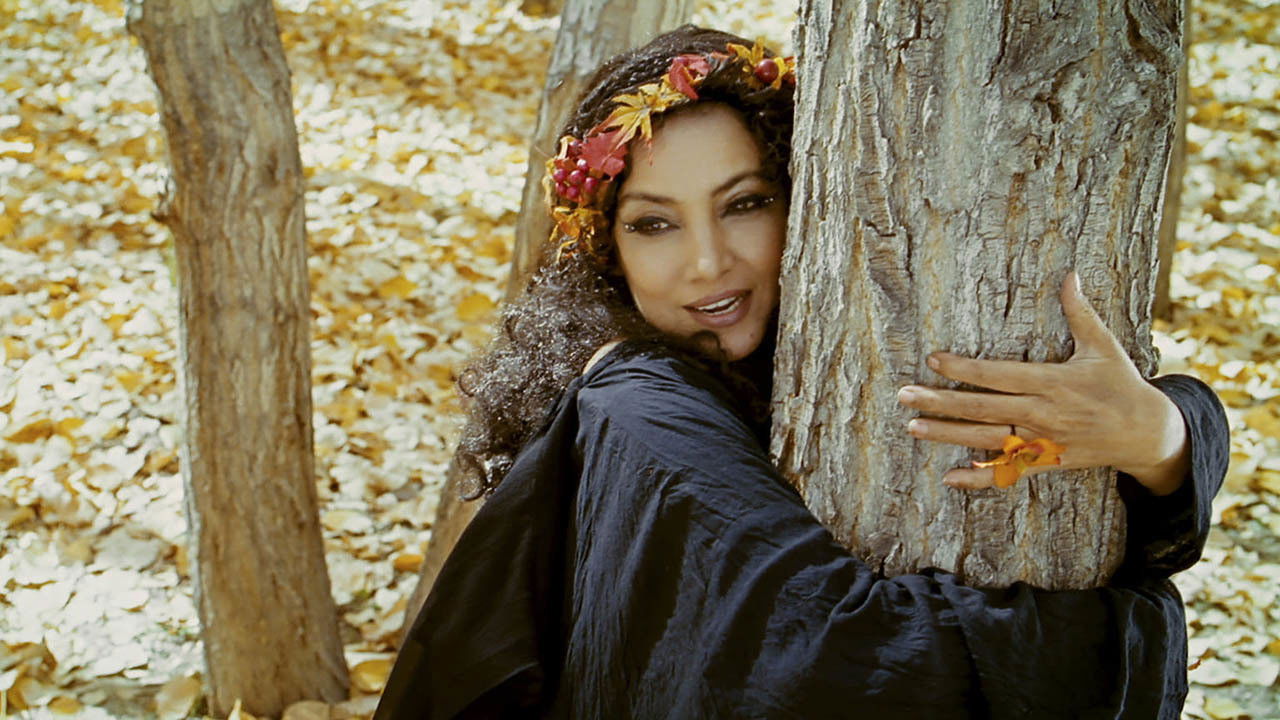 Backdrop for The Wishing Tree