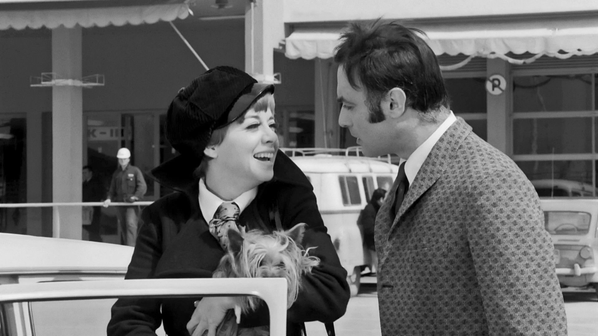 Backdrop for A Crazy Party Animal