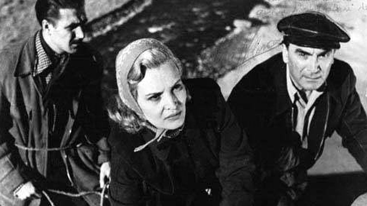 Backdrop for Cornered