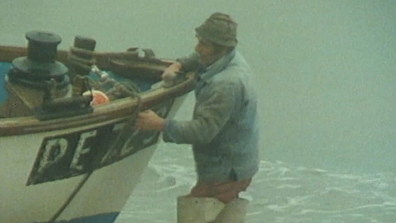 Backdrop for The Sea in Their Blood