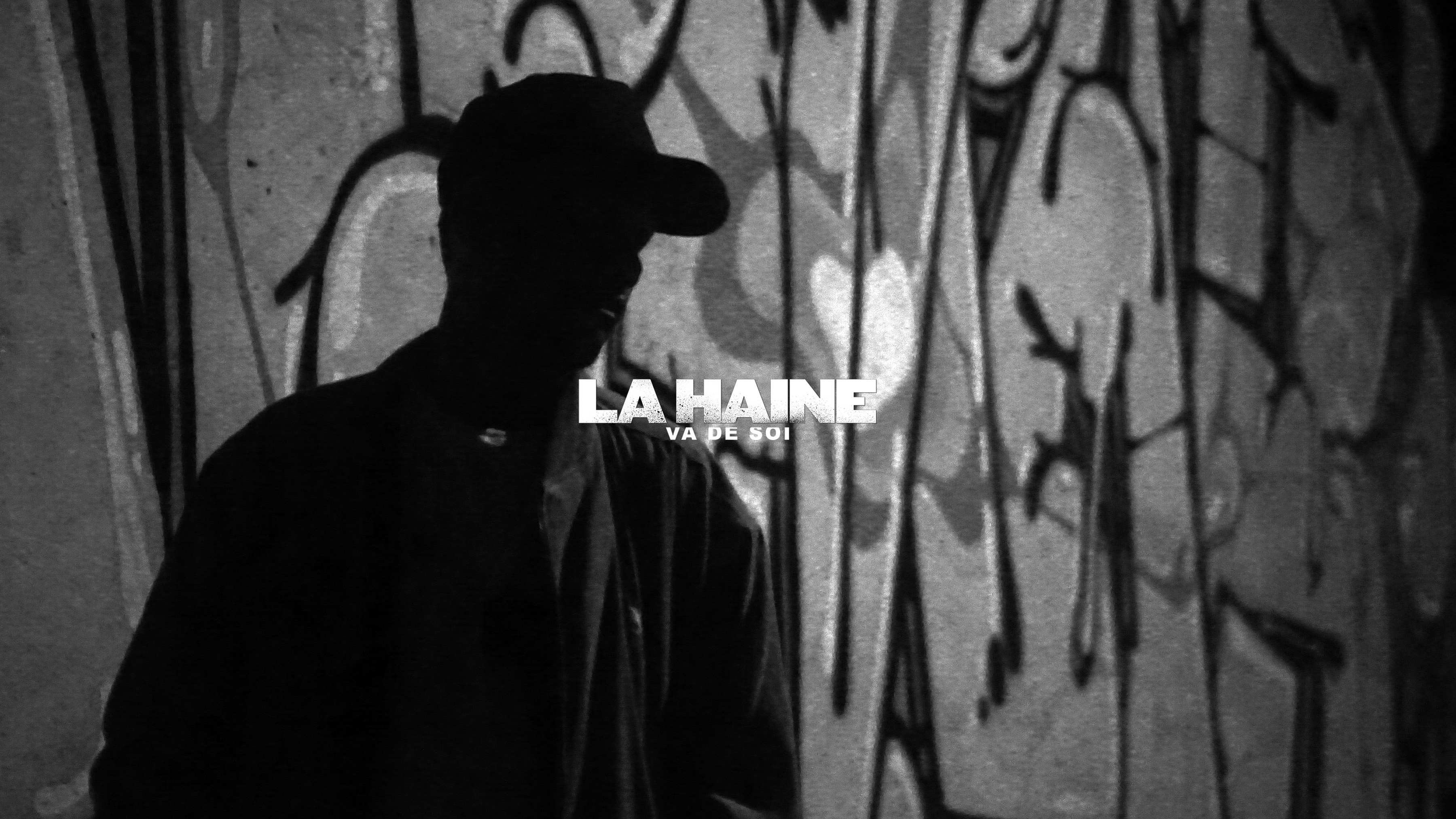 Backdrop for La Haine Va De Soi