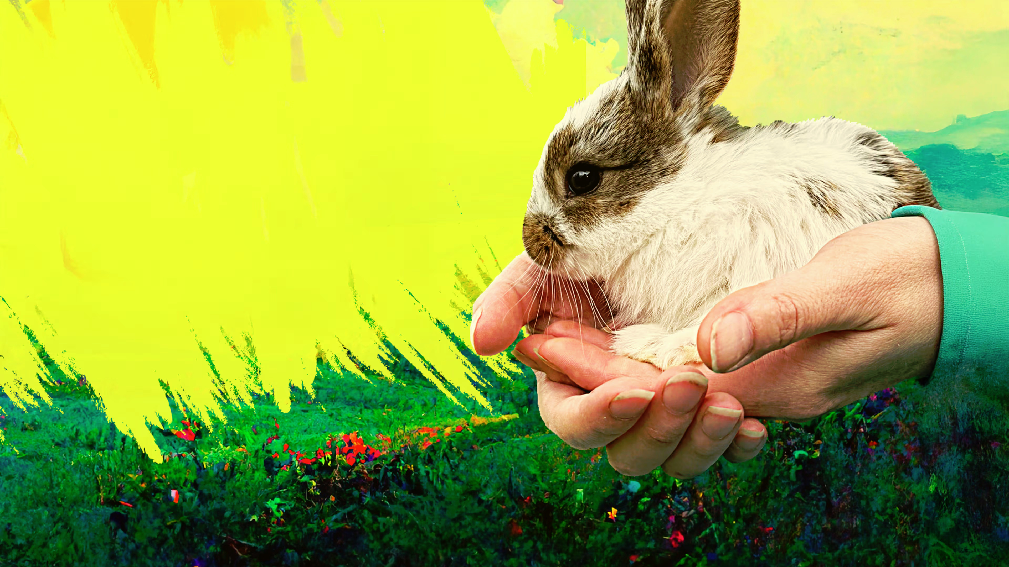 Backdrop for Pet on the Menu