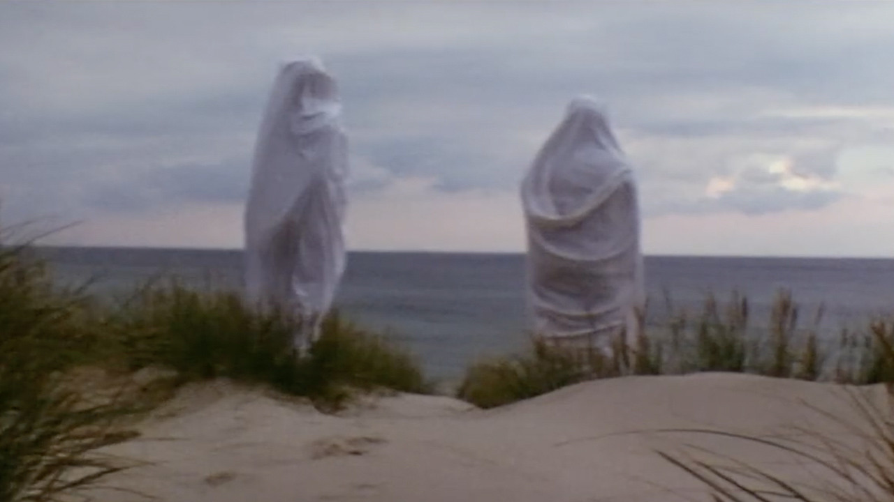 Backdrop for The Cosmic Machine