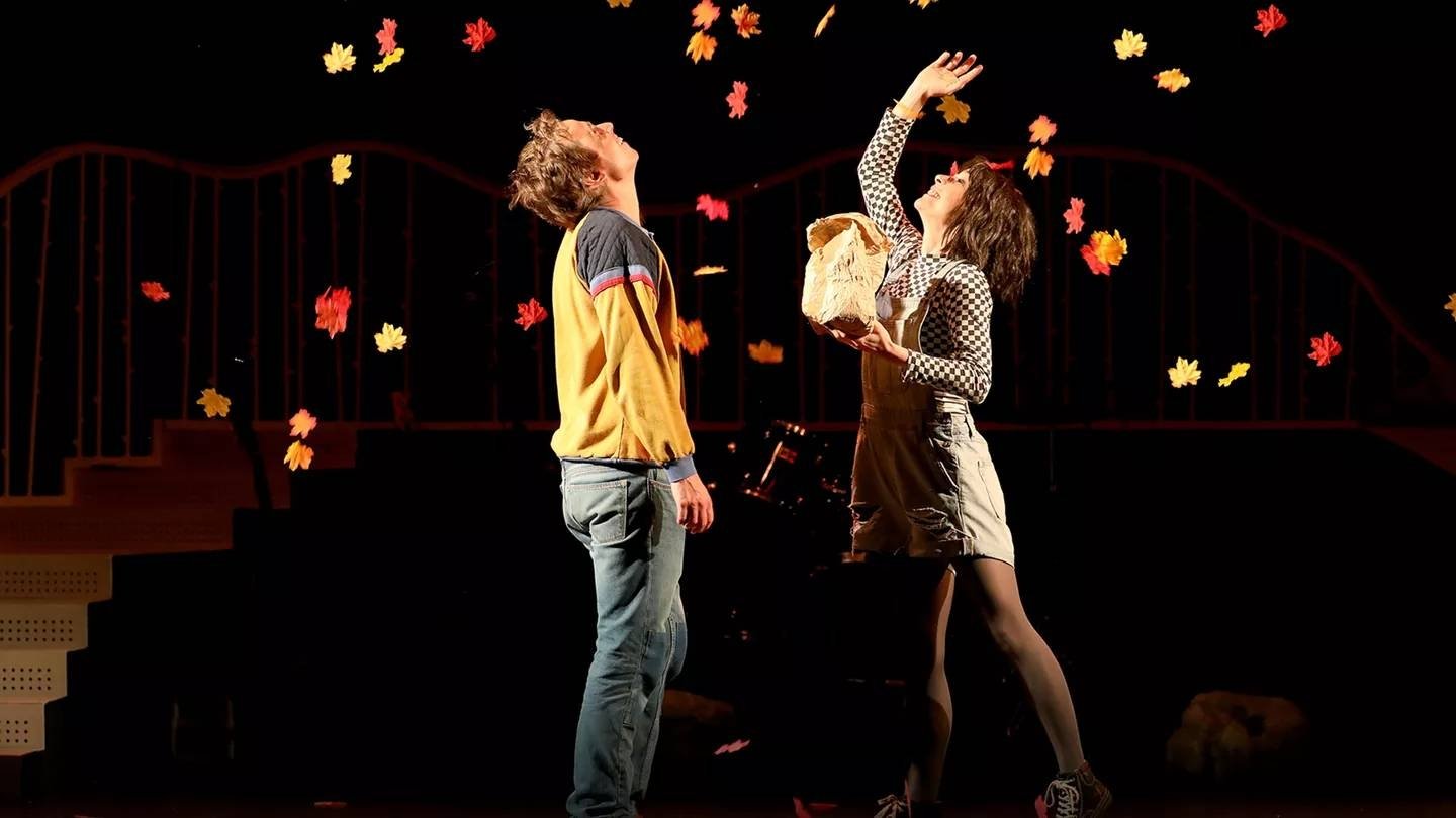 Backdrop for Courgette