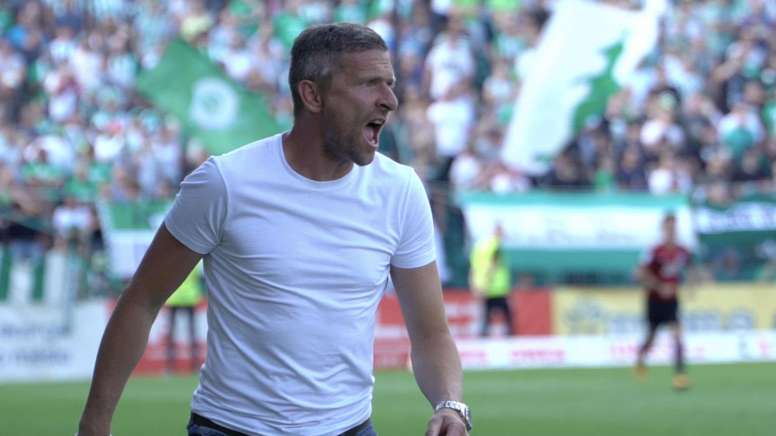 Backdrop for Hašan (ten trenér)