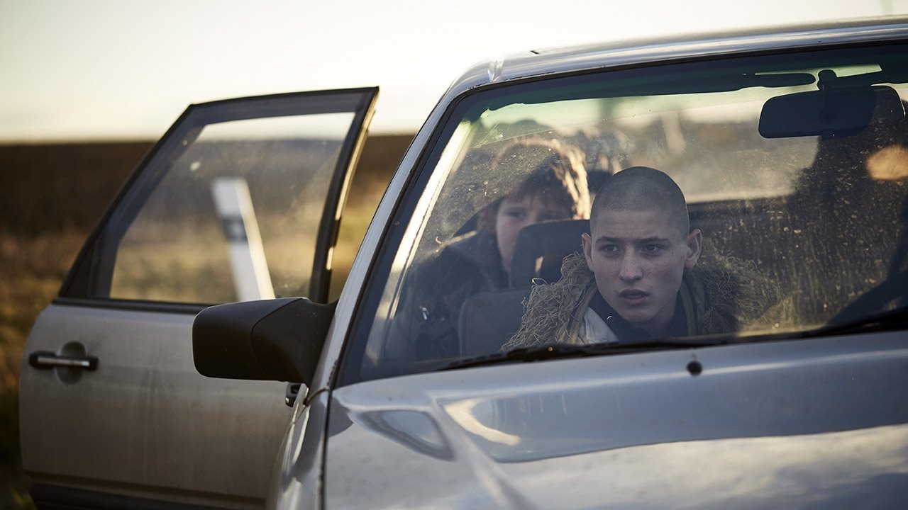 Backdrop for Winter Flies