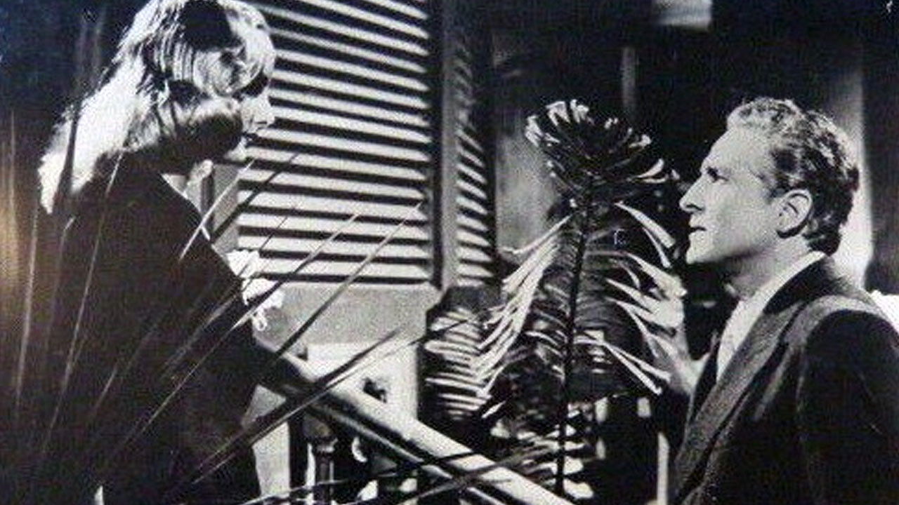 Backdrop for Passport to Rio