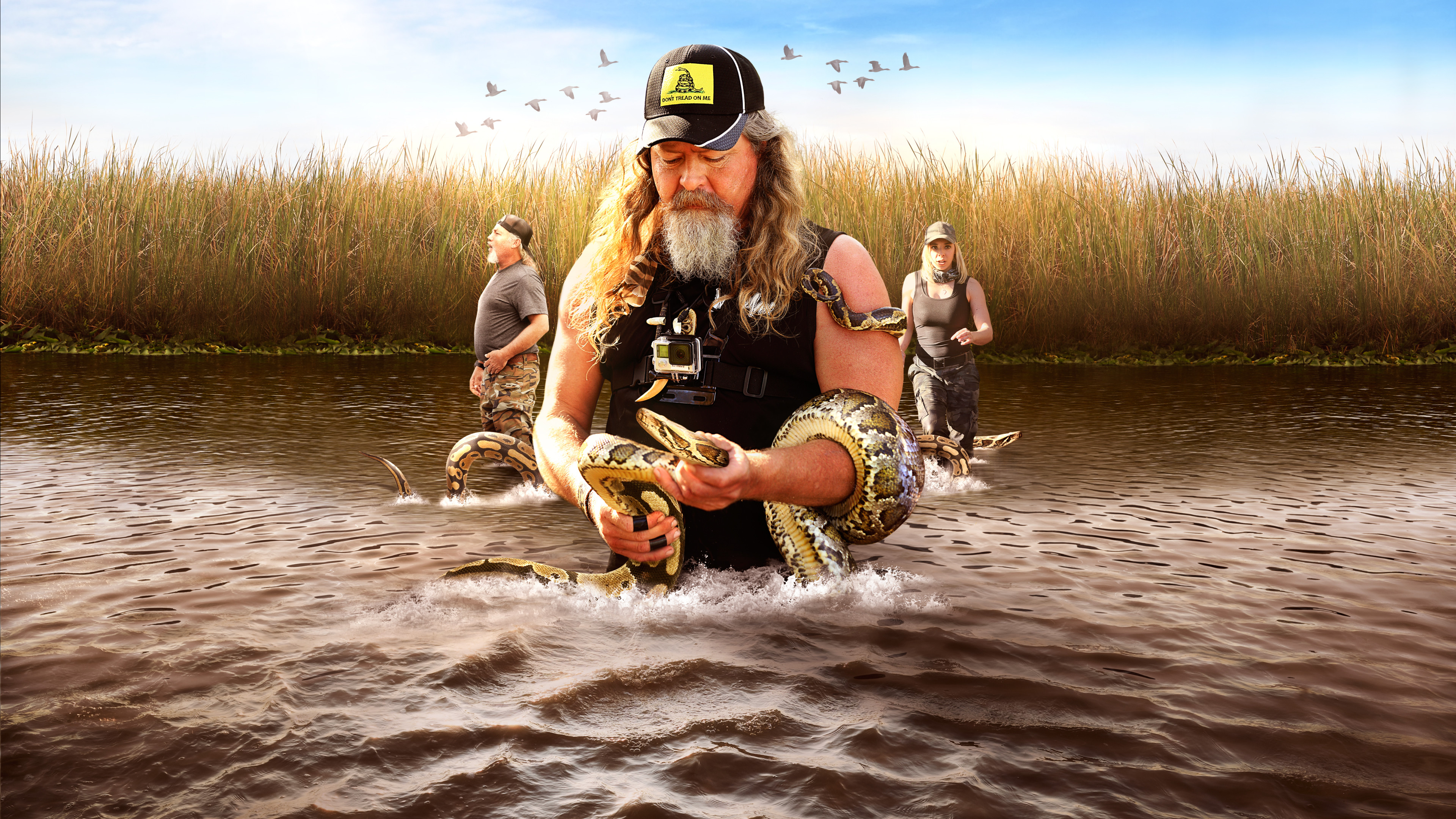 Backdrop for Guardians of the Glades