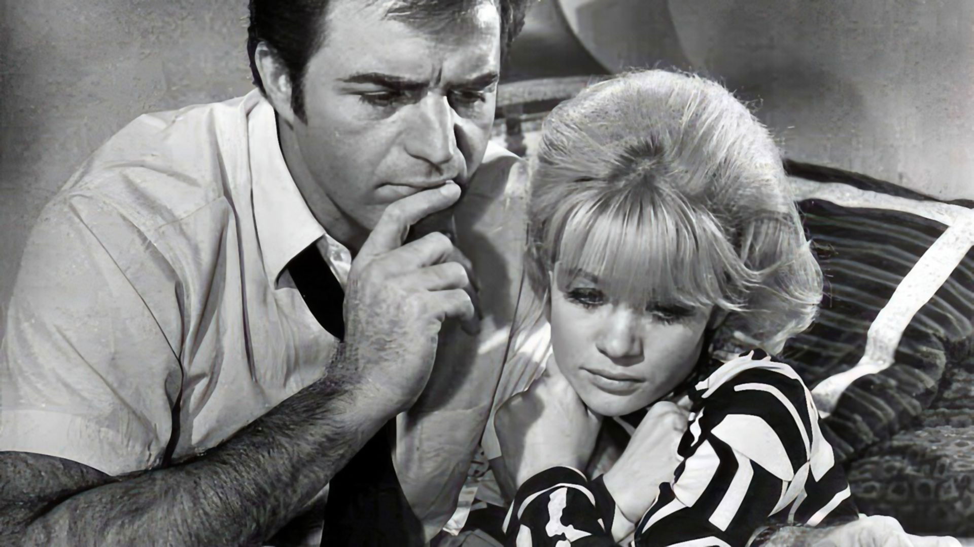 Backdrop for Hammerhead