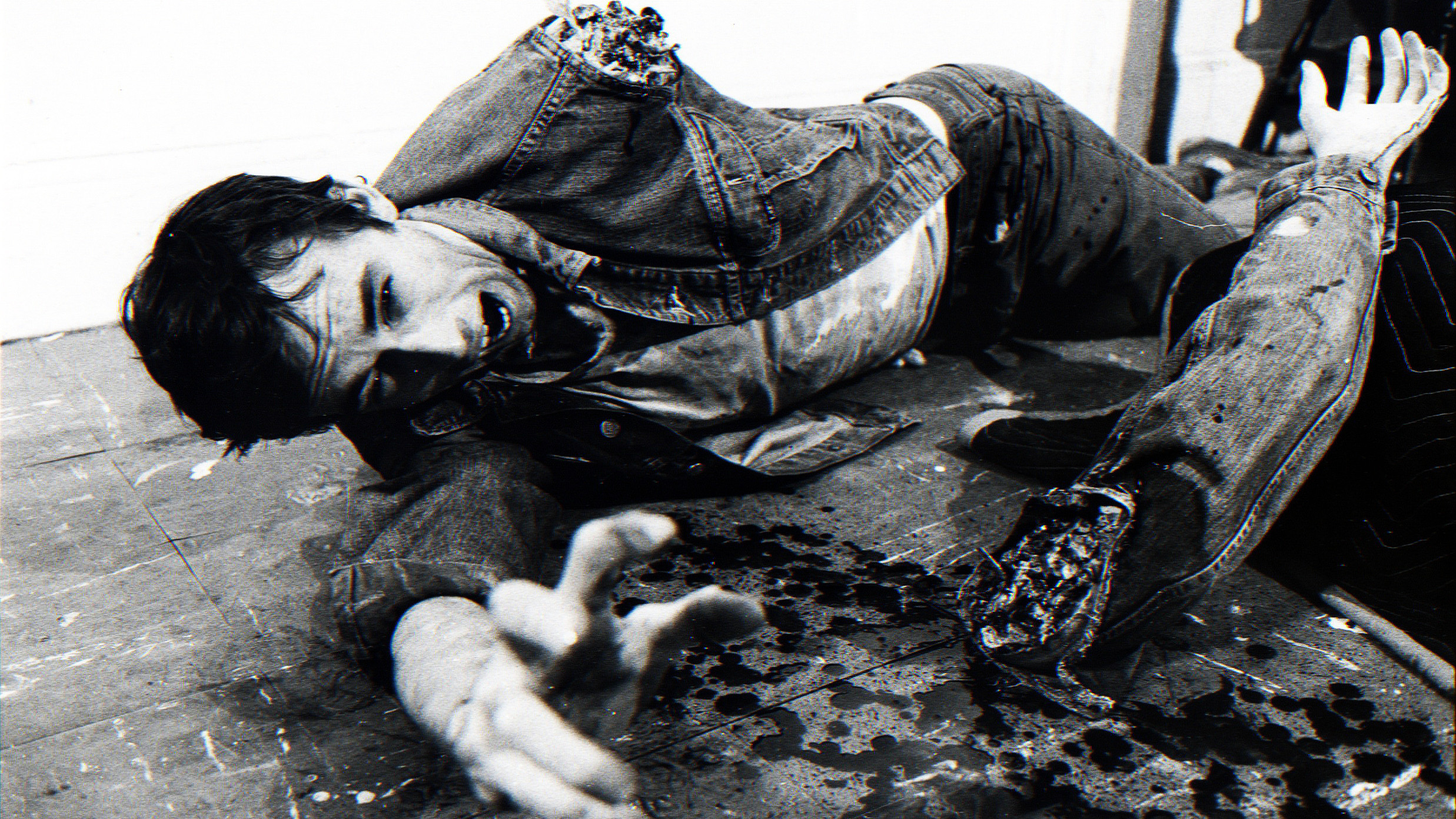 Backdrop for Stray Dogs