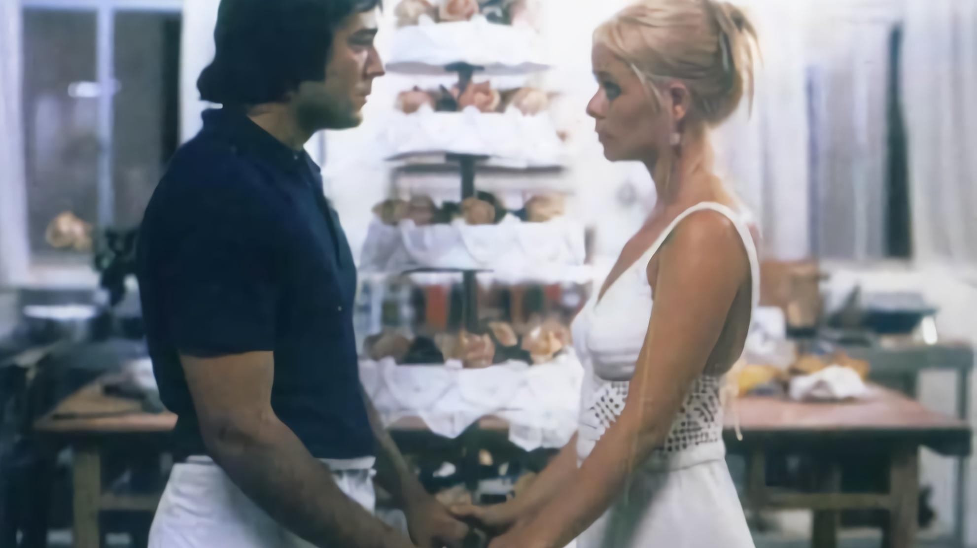 Backdrop for Sugar Times