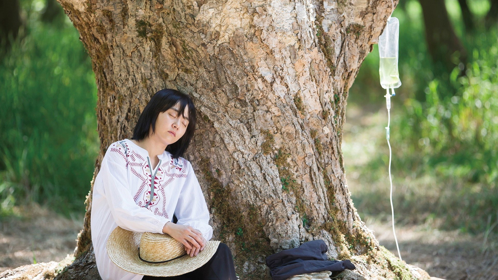 Backdrop for Glass Garden