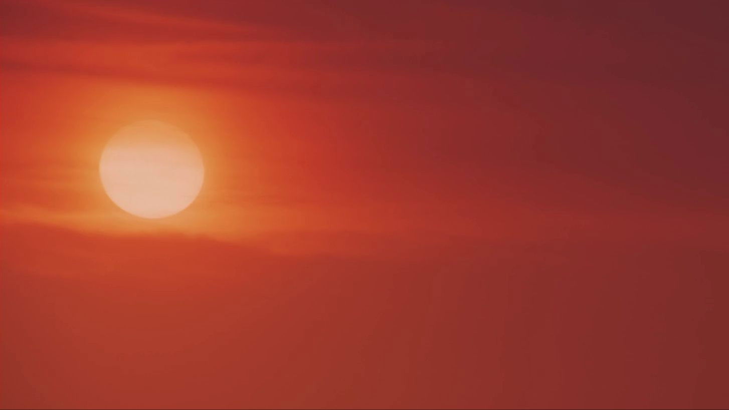 Backdrop for The Snake Prince