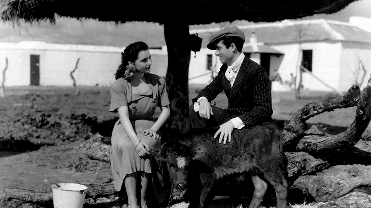 Backdrop for Currito de la Cruz