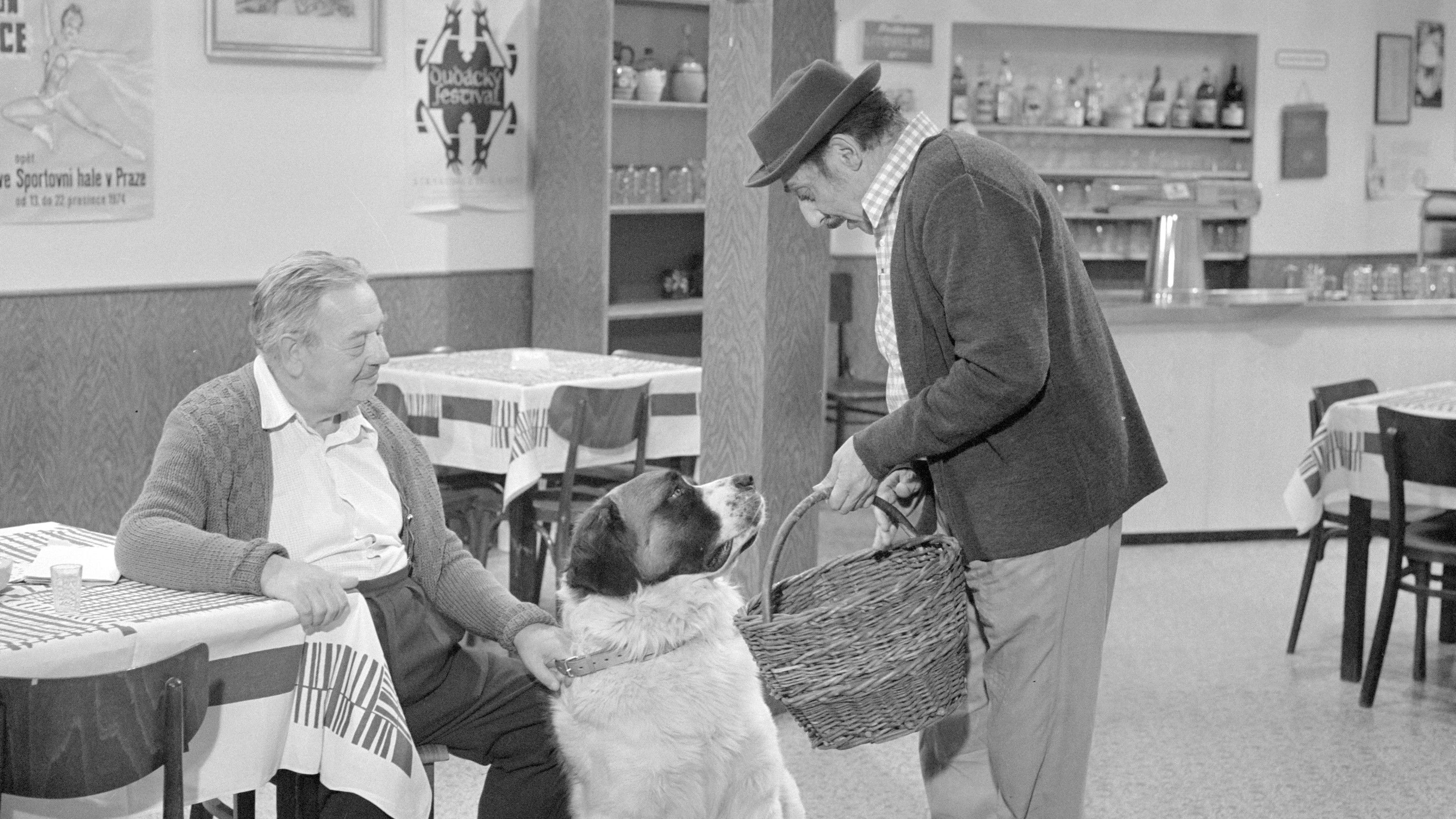 Backdrop for Bohoušův syn