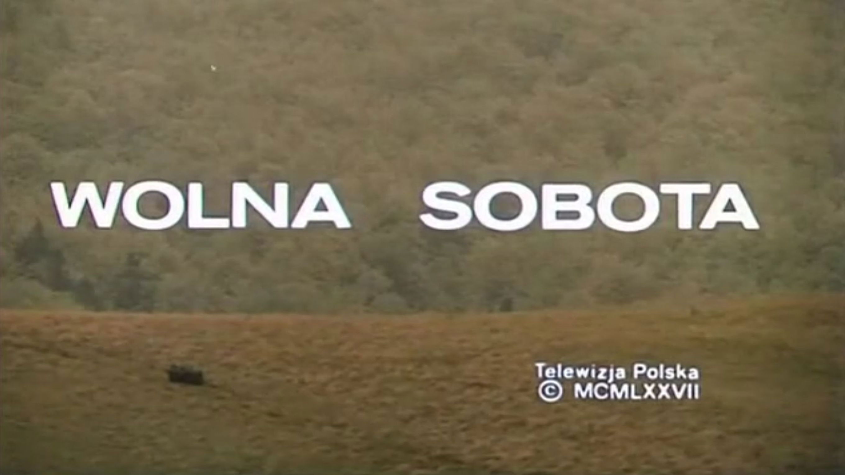 Backdrop for Wolna sobota