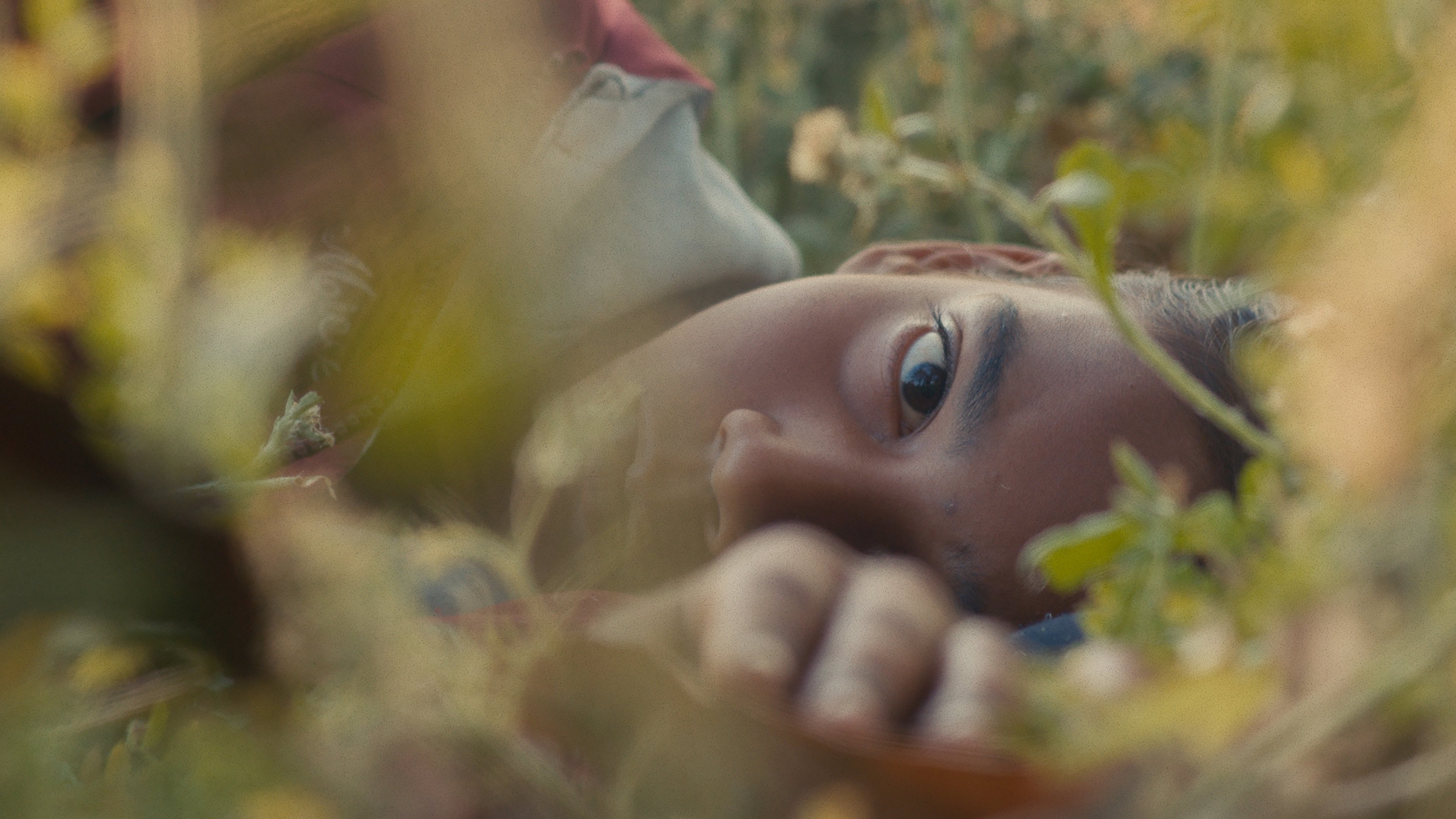 Backdrop for Humans in the Loop