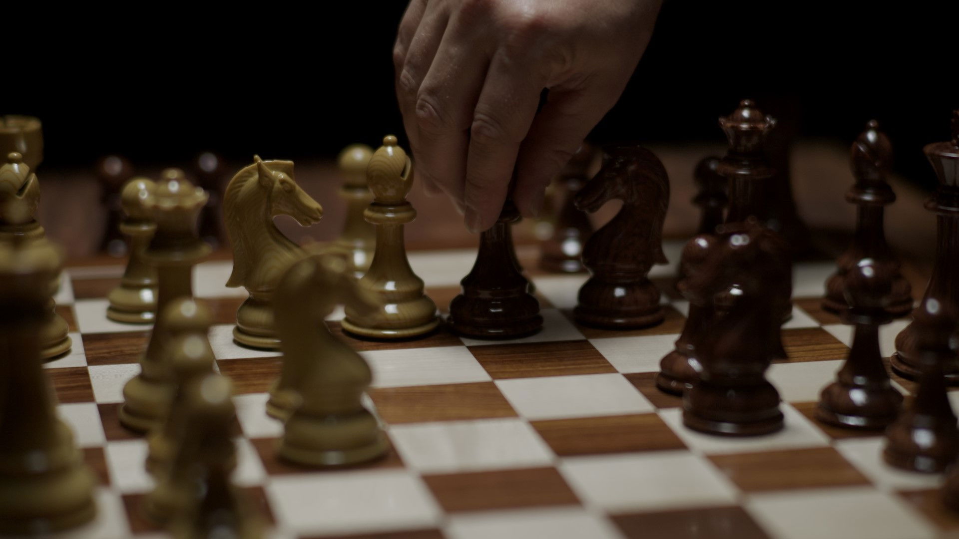 Backdrop for Fatherhood