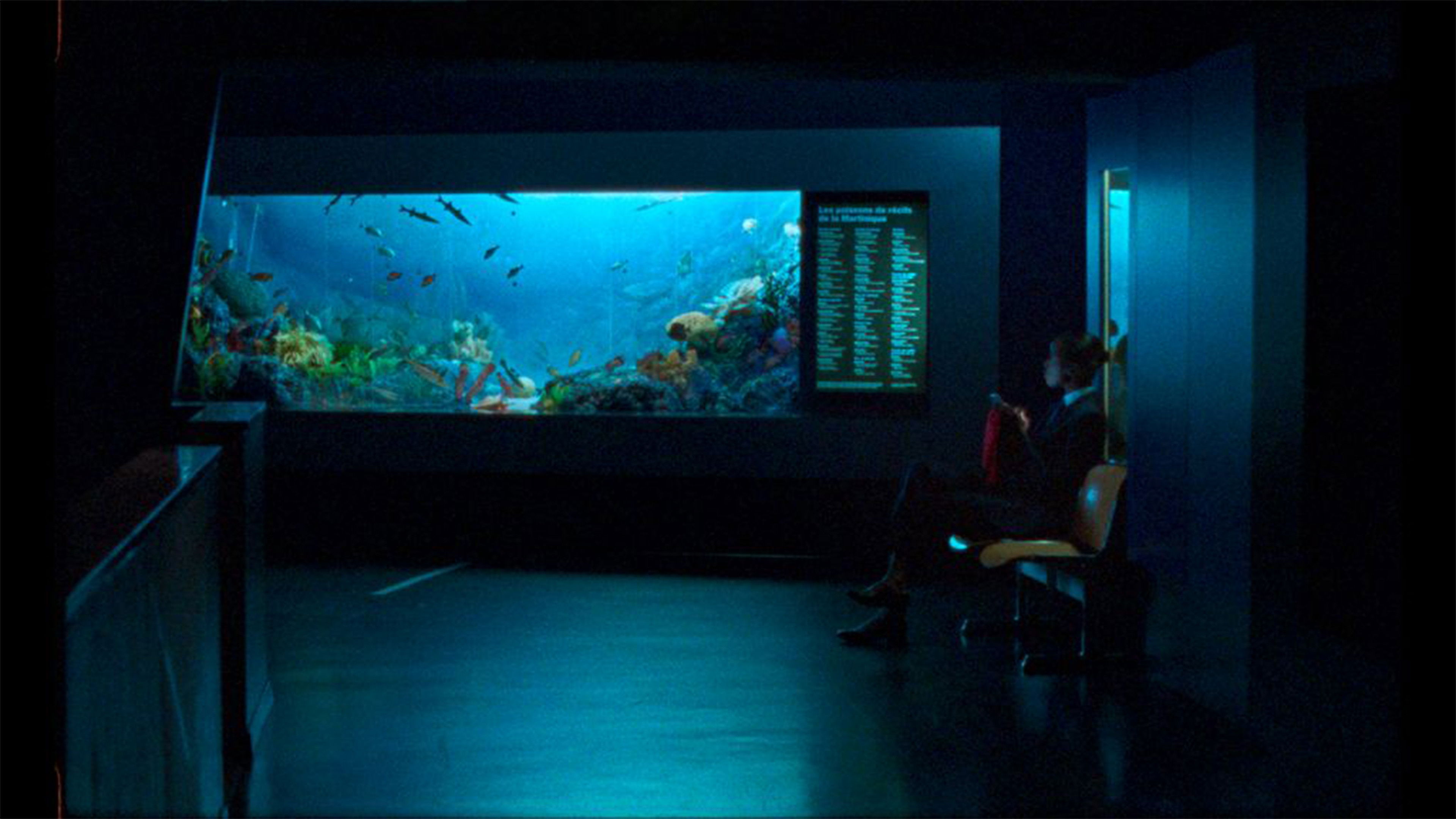 Backdrop for Night Shift