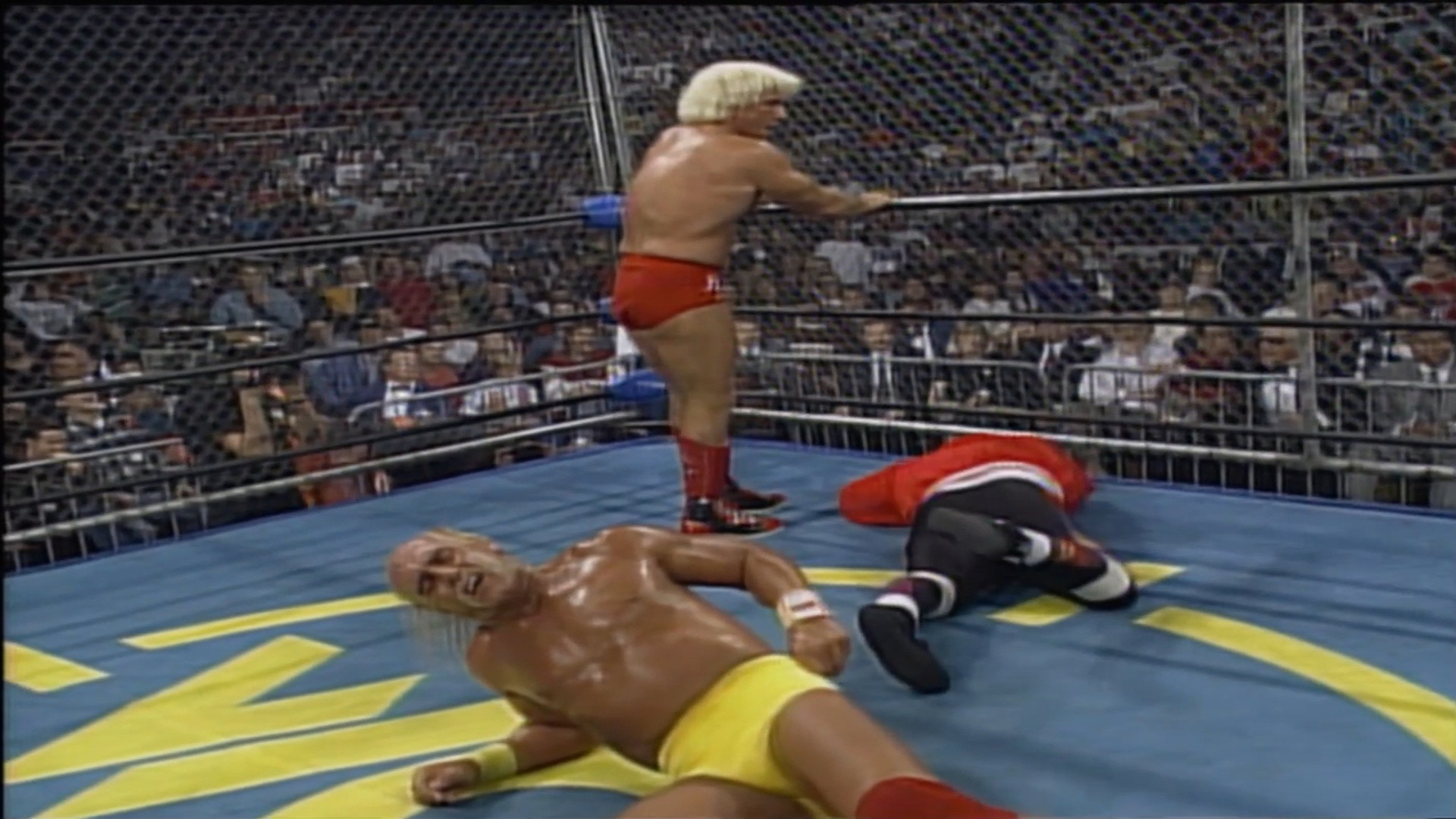 Backdrop for WCW All Nighter 1995