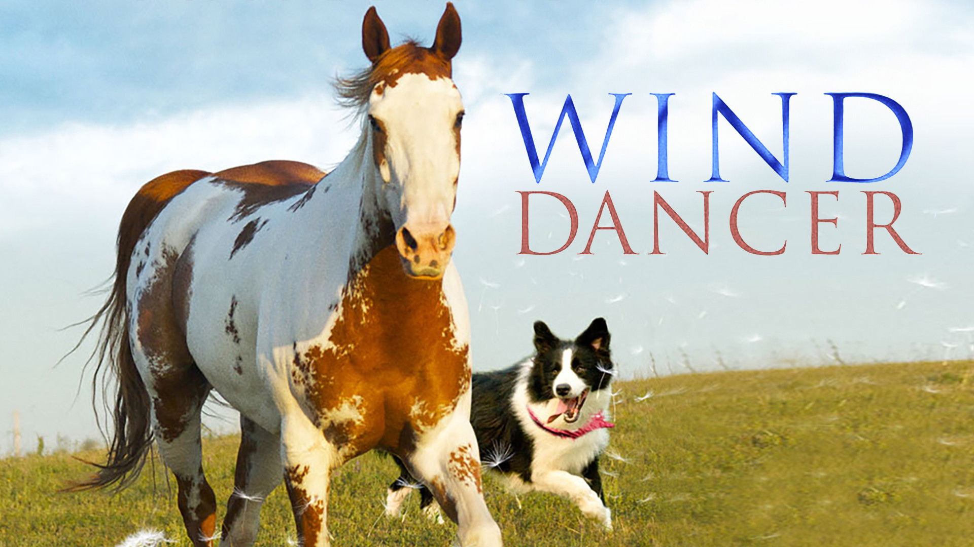 Backdrop for Wind Dancer