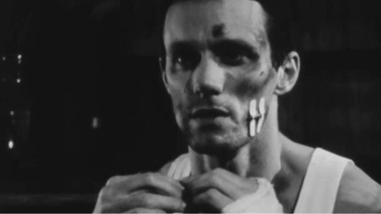 Backdrop for Night Out