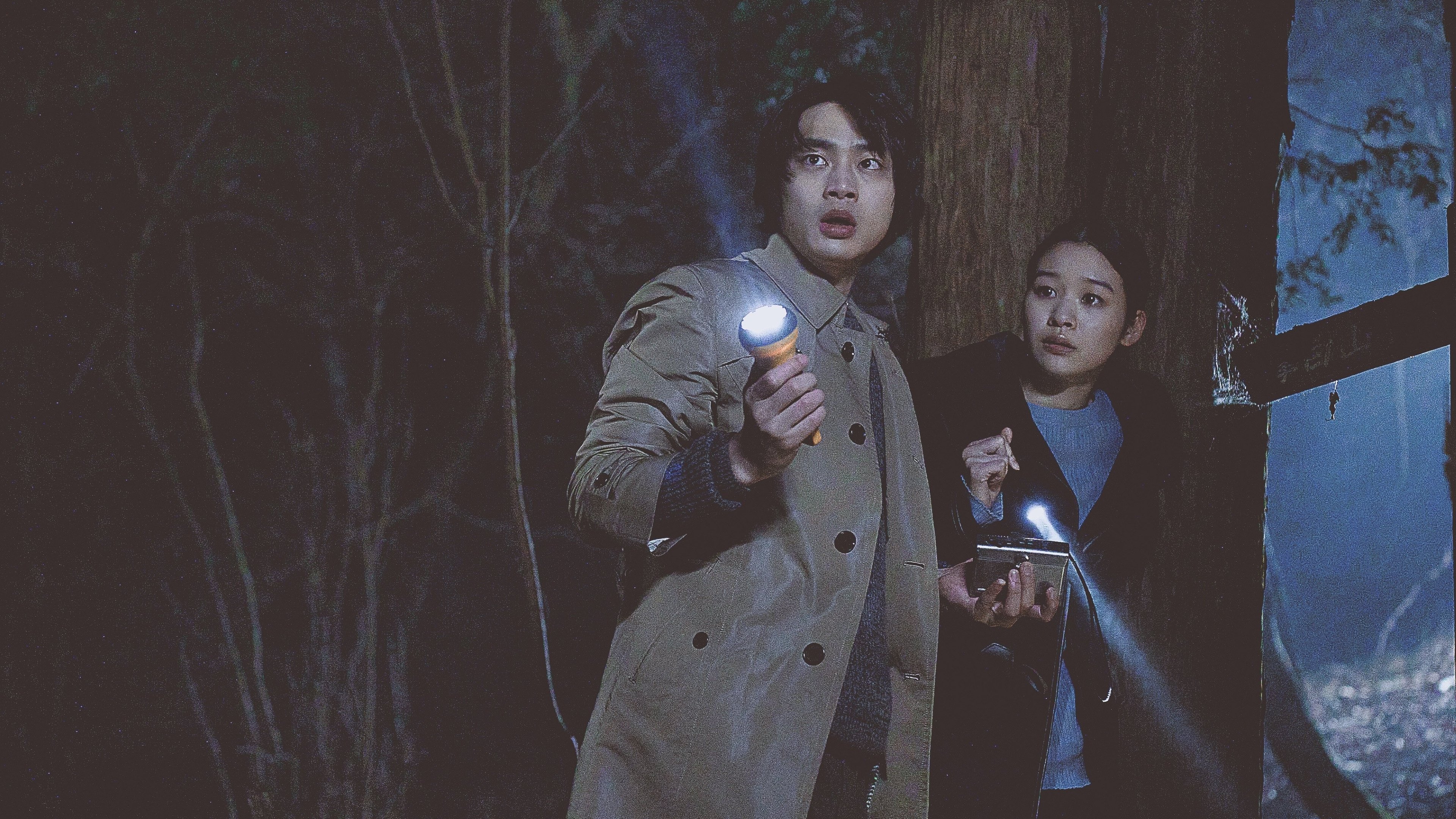 Backdrop for Missing Child Videotape