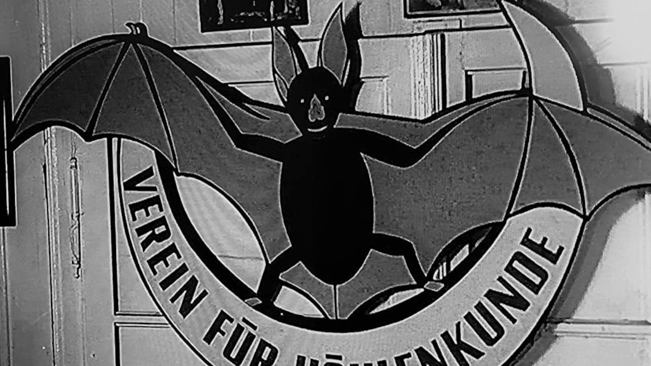 Backdrop for Cave Explorers