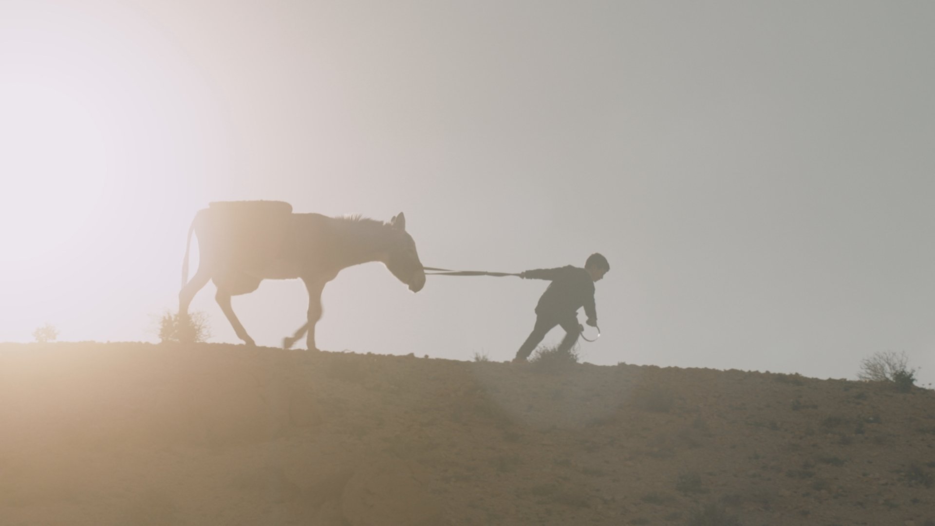 Backdrop for Nefta Football Club