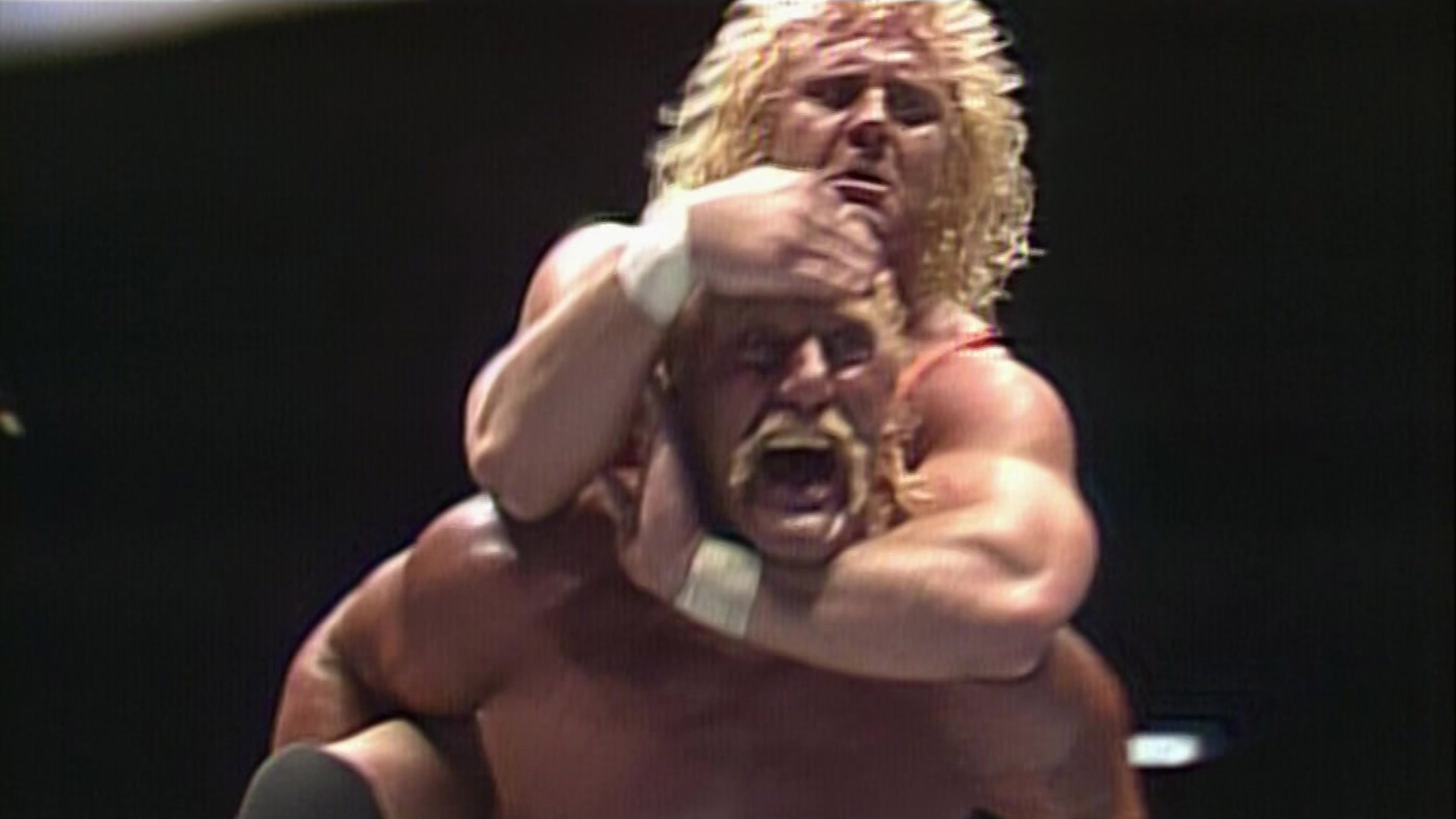 Backdrop for WWE WrestleFest '90