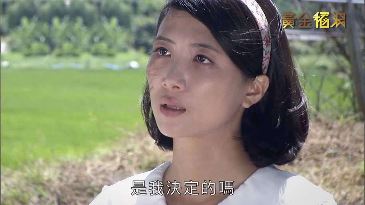 Backdrop for 黄金稻浪