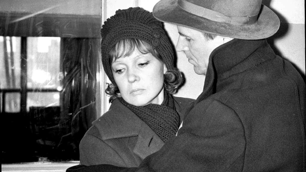 Backdrop for Five Evenings