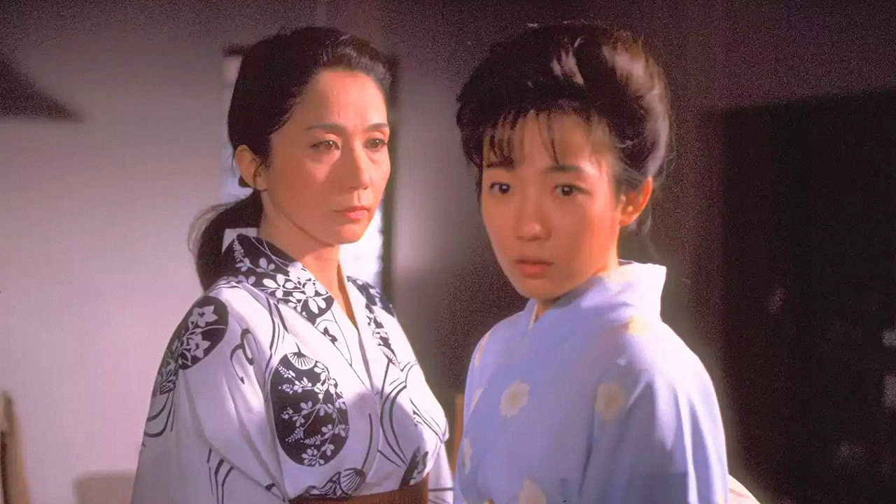 Backdrop for Cherry Blossoms