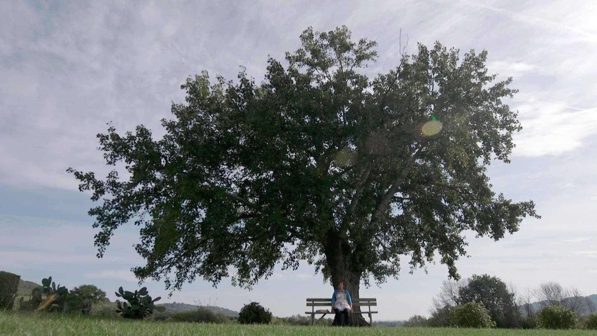 Backdrop for Homemade For You