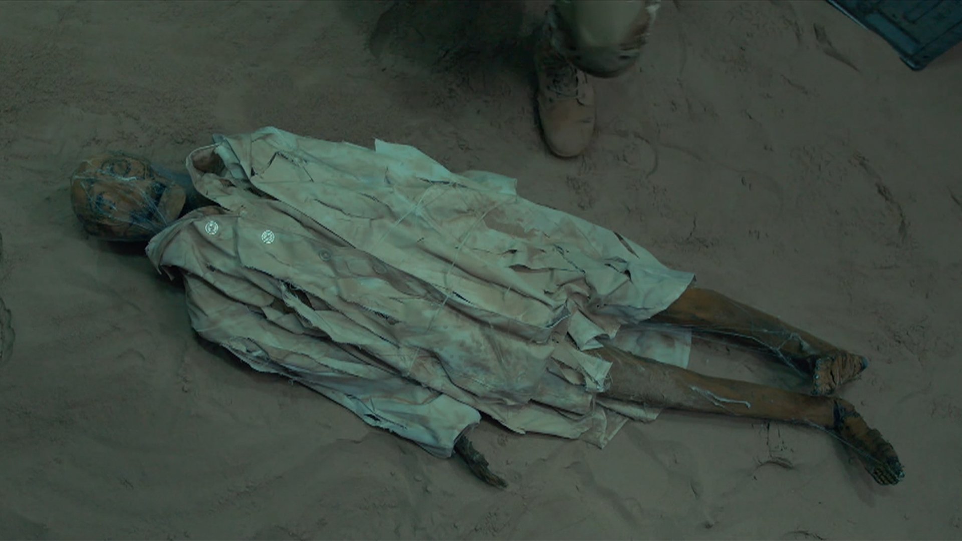 Backdrop for Giant Spider