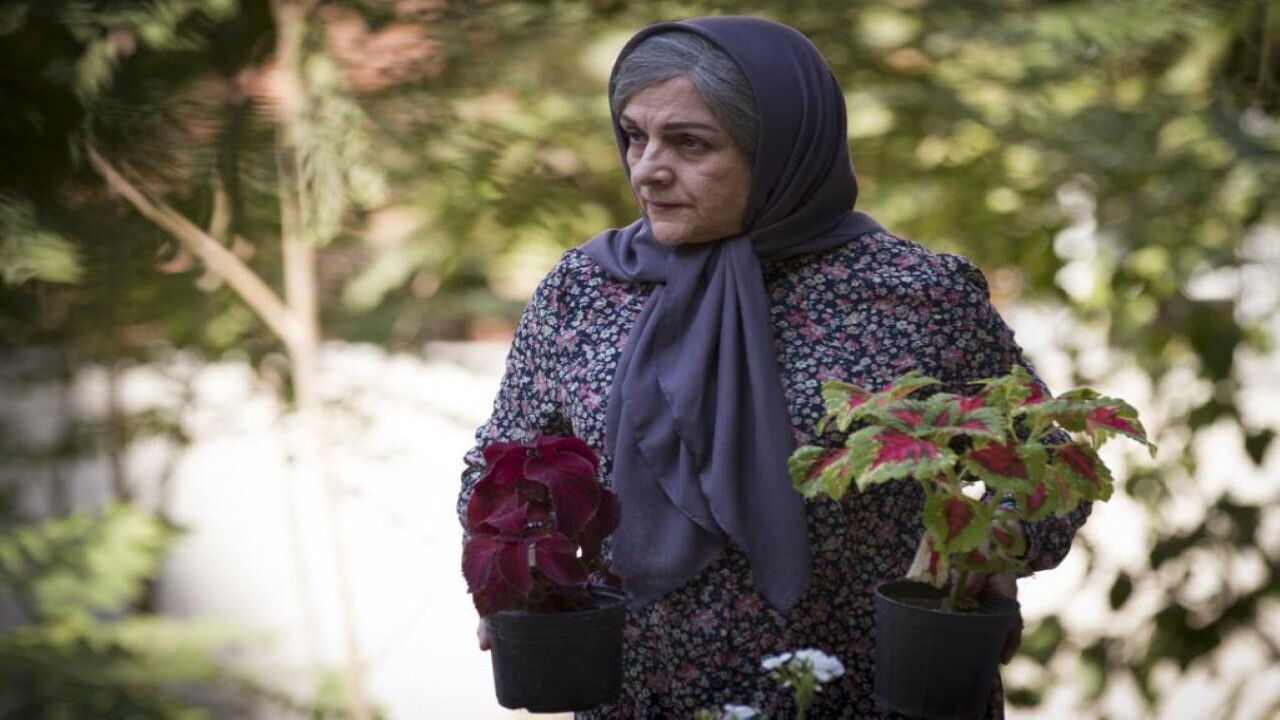 Backdrop for Life Again